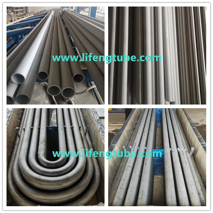 A213 TP316L U-TUBE